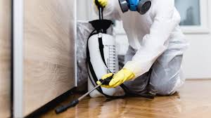 Reliable Alamo Heights, TX Pest Control Solutions